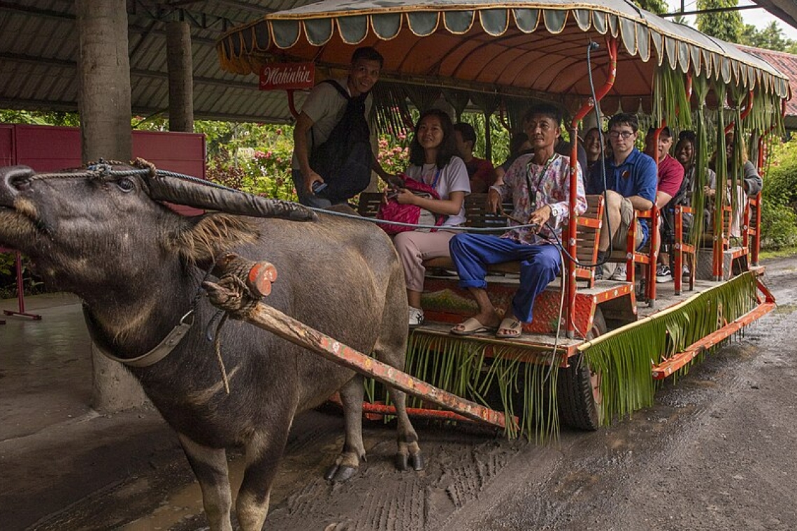 水牛城莊園(Villa Escudero in Tiaong Quezon Province)