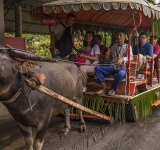 水牛城莊園(Villa Escudero in Tiaong Quezon Province)